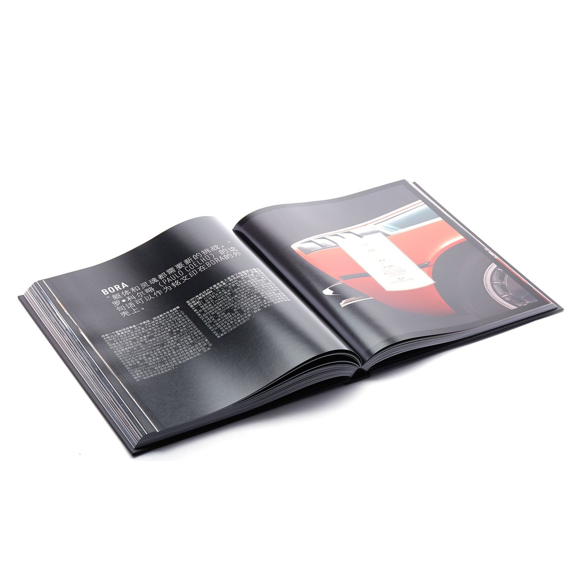 920007200_3_1200x.jpeg?v=